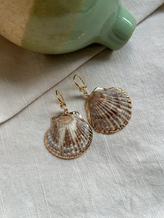 Shelle – Natural Shell Drop Earrings