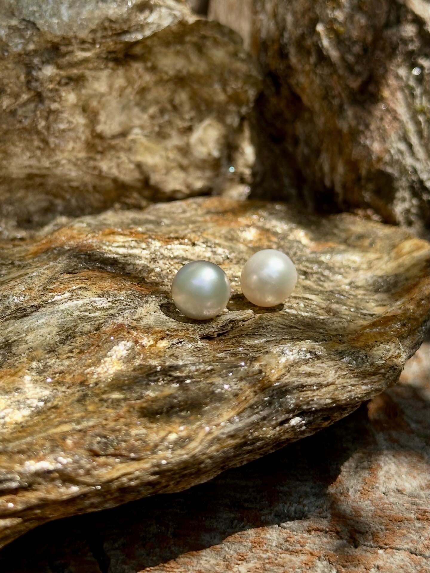 Stella Pearl  Studs
